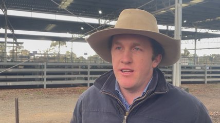 Ryan Carpenter, Euroa | Stock & Land