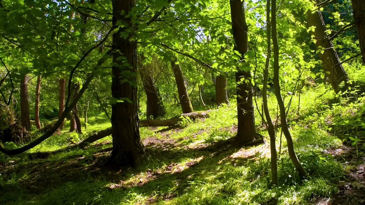 " peut se traduire en français par "Méditation Guidée": Méditation Pour les Moments Difficiles" Meditation in French  Méditation Pour Les Temps Difficiles