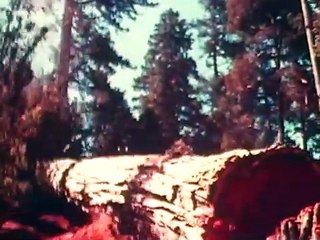 Monumental: David Brower's Fight for Wild America Bande-annonce (EN)