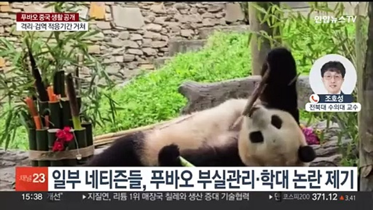 [1번지이슈] 푸바오 중국 생활 첫 공개…학대 의혹 풀릴까?