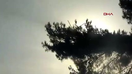 Çanakkale'de yangın! 5 hektar alan zarar gördü