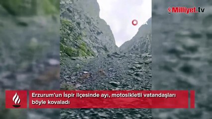 Yer: Erzurum! Motosikletli vatandaşları ayı kovaladı