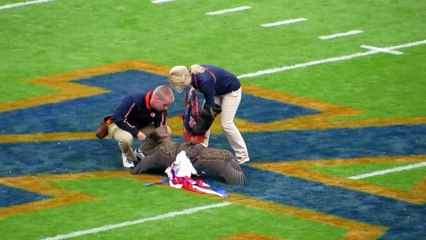 Incredible Moments Caught on Camera