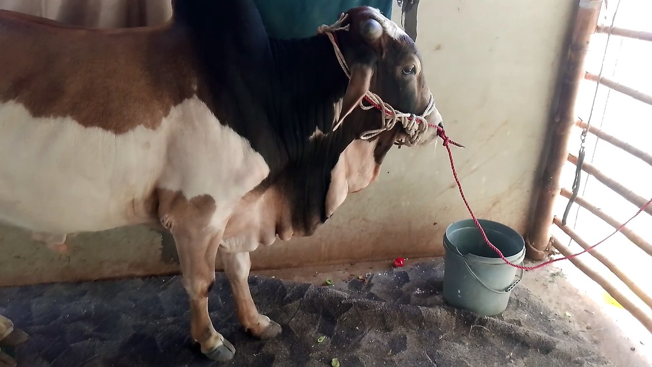 VID_20240520_154615