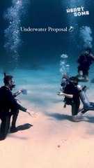 Unforgettable Underwater Proposal Sets New Standard