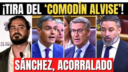 Feijóo y Abascal acorralan a Sánchez con Begoña y su hermano… ¡y Sánchez tira del comodín Alvise!