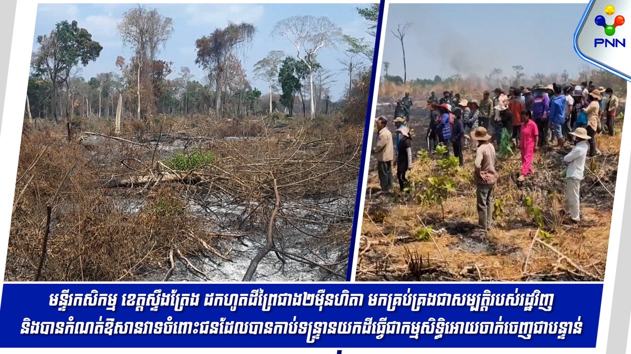 [12-06-24] មន្ទីរកសិកម្ម ខេត្តស្ទឹងត្រែង ដកហូតដីព្រៃជាង២ម៉ឺនហិចតា មកគ្រប់គ្រងជាសម្បត្តិរបស់រដ្ឋវិញ