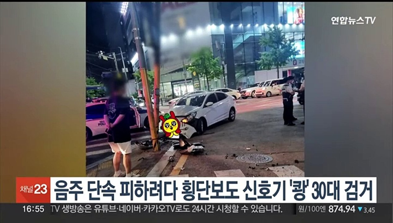 음주 단속 피하려다 횡단보도 신호기 '쾅' 30대 검거
