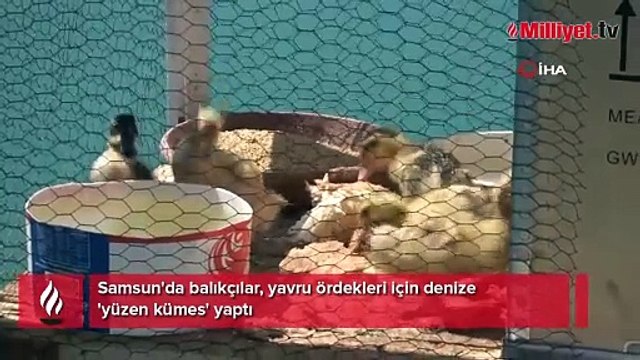 Bu da ‘yüzen kümes'