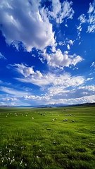 This is a beautiful earth 