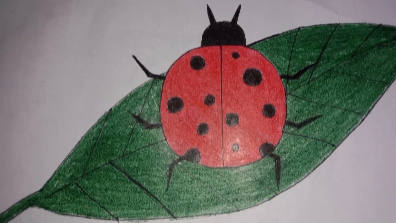 easy way to draw a ladybug/lady bug banane ka asaan tarika