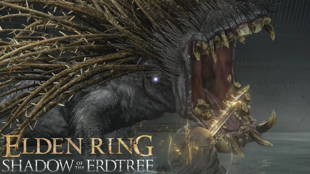Hippopotame doré Elden Ring Shadow of the Erdtree : Comment battre le boss du château noir ?