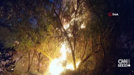 Güney Kıbrıs’ta orman yangını: 5 köy tahliye edildi