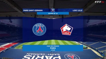 Coupe de France : PSG-LOSC 3-0), résumé