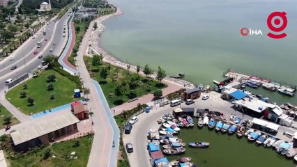 Denizin rengi değişti: Ortalığı kötü koku sardı