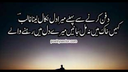 My Video8