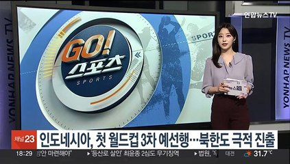 신태용의 인도네시아, 첫 월드컵 3차 예선행…북한도 극적 진출