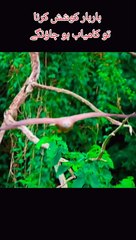 Practice make a man perfect