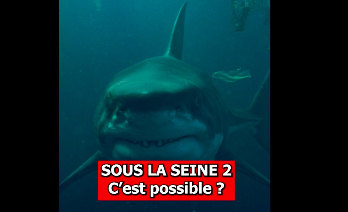 Sous la Seine 2 : une suite à Londres ou à New York ?