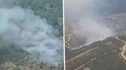 İzmir’in Narlıdere ilçesinde orman yangını