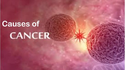 Causes of Cancer