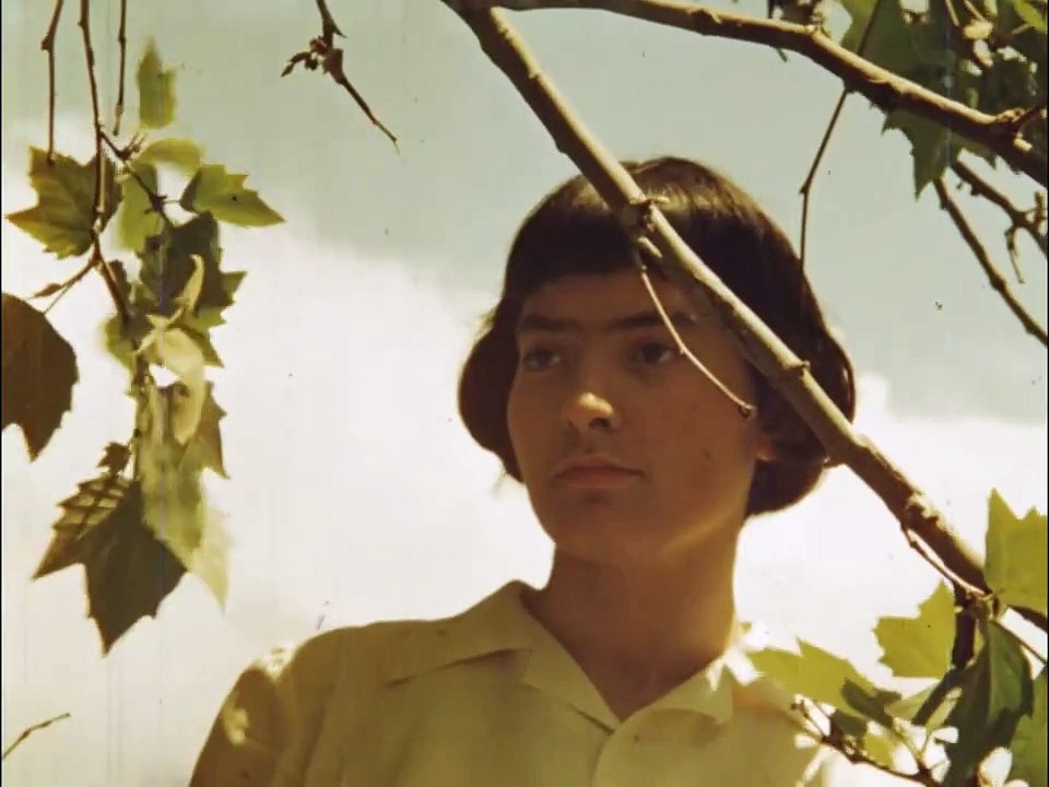 La primera mirada Tráiler