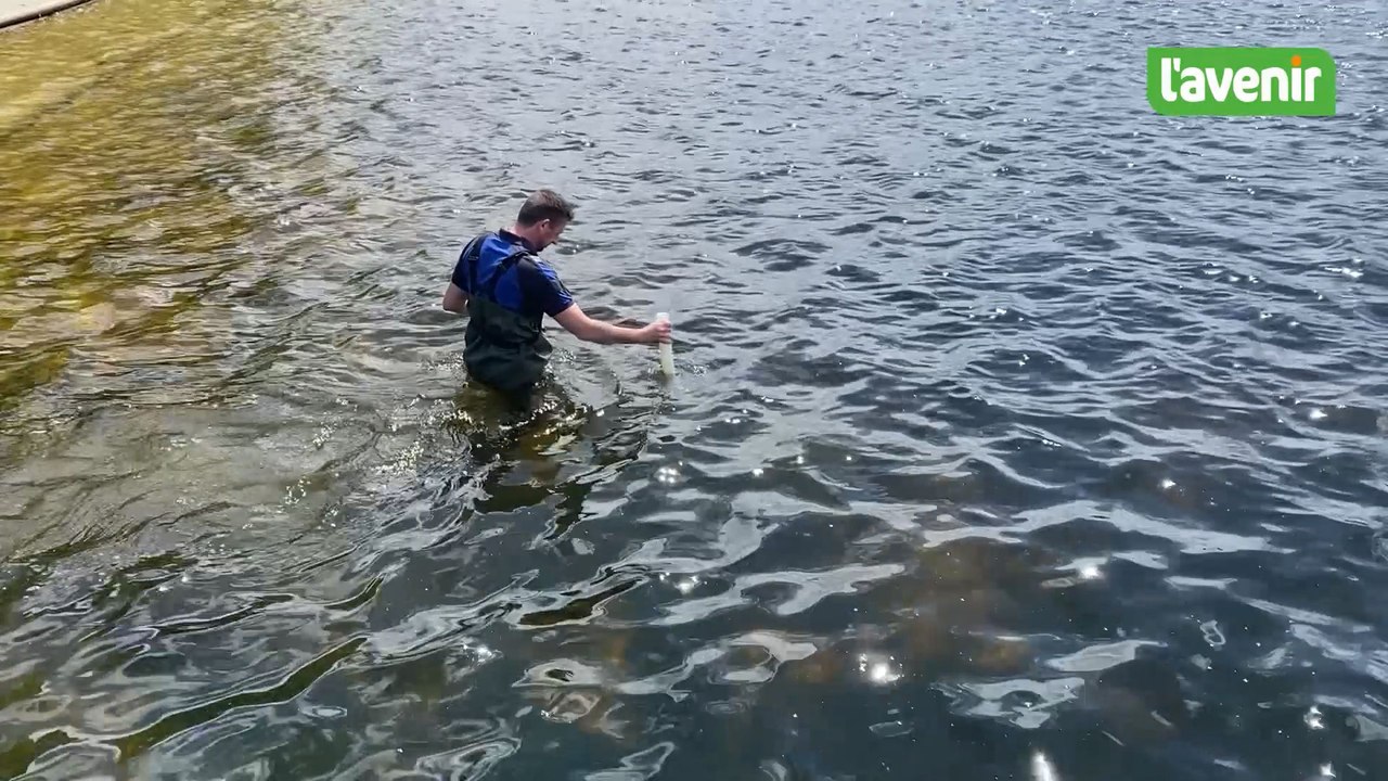 Les gardiens de la qualité des eaux de baignade wallonnes
