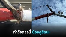 นกทำรังบนไม้กั้นทางรถไฟ คิดมาดีแล้วแน่ ๆ ถึงไปทำรังตรงนั้น