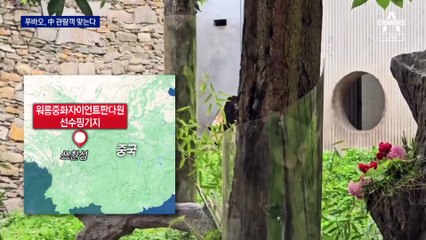 71일 만에 공개된 푸바오…이례적 생중계