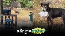 จับได้หลักฐานคาปาก จอมโจรลักเหนียวไก่ทอด !