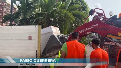 SPIAGGIA RINGO LIBERATA DAI RIFIUTI