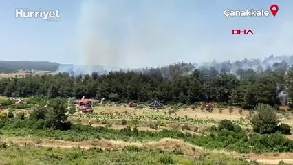 Çanakkale’nin Eceabat ilçesinde orman yangını