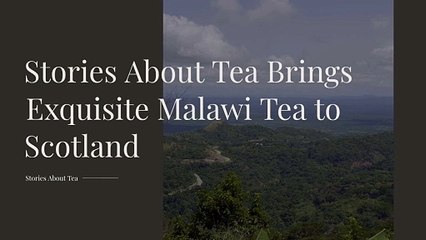 Stories About Tea Brings Exquisite Malawi Tea to Scotland