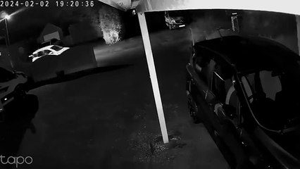 Fine for throwing chips out a moving car