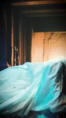 Geralt Vs Vereena ⚔ -   - Status 6 - ARS WA Status - 2024