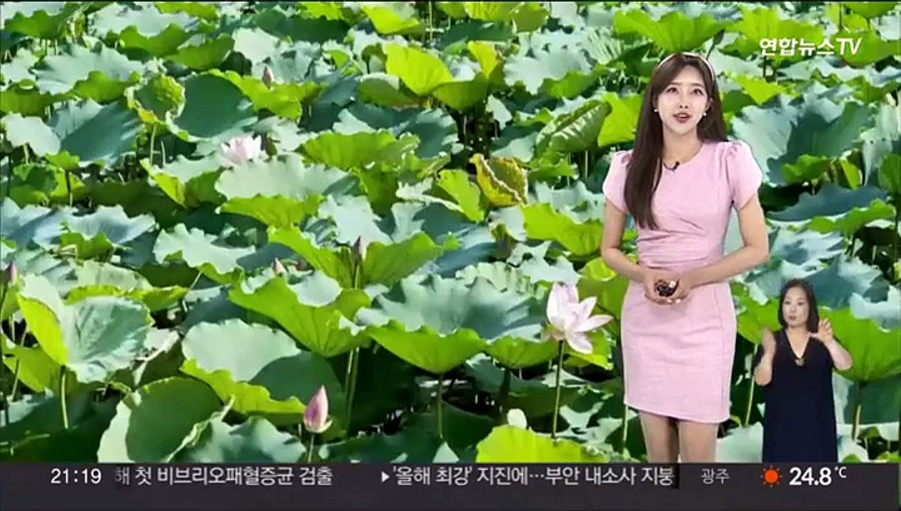 [날씨] 내일 서울 32도·대구 35도…밤사이 강원 동해안 열대야 가능성