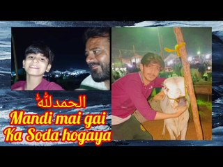 Alhamdullilah! apne |cow leli.||Ahmed raza memon| mandi volg