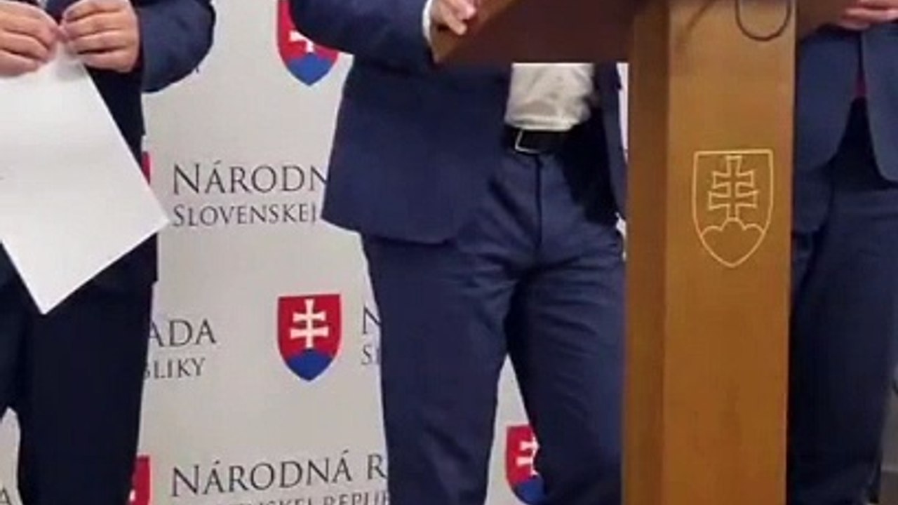 ZÁZNAM: Brífing hnutia Slovensko a Kresťanskodemokratického hnutia