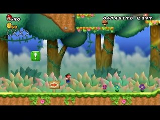 New Super Mario Bros Wii 49