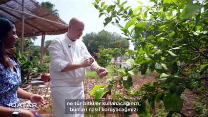 Katar'da çiftlikten sofraya girişimleri gelişiyor