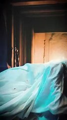 Geralt Vs Vereena ⚔ -   - Status 6 - ARS WA Status - 2024