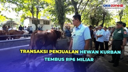 Jelang Iduladha, Transaksi Penjualan Hewan Kurban di Pasar Hewan Ambarketawang Tembus Rp6 Miliar