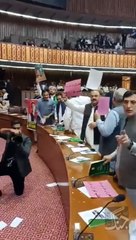 بجٹ اجلاس میں سنی اتحاد کونسل(تحریک انصاف ) کے ارکان قومی اسمبلی کا احتجاج