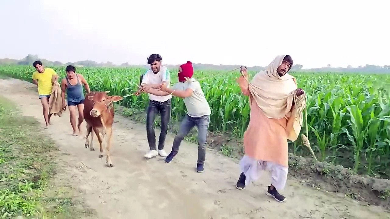 Funny vedio