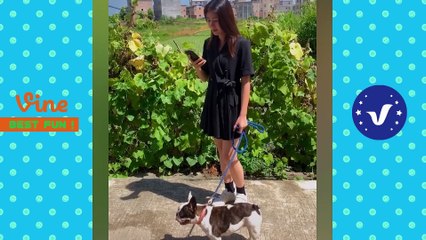 y2mate.com - Funny  Hilarious Video Peoples Happy Life 37  Try Not To Laugh Funny Videos 2024_1080p