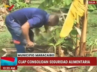 Download Video: Zulia | Gobierno nacional entrega kit Trabuco CLAP a habitantes del mcpio. Maracaibo