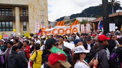 ¿Hasta cuándo irá el paro de Fecode?: sindicato habla de sus preocupaciones sobre la ley estatutaria de educación