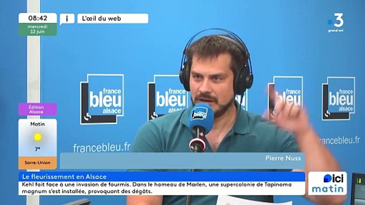 Les concours de fleurissement en Alsace
