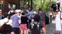 Canicule en Grèce: l'Acropole d'Athènes partiellement fermée aux visiteurs