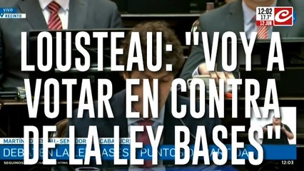 Lousteau anticipó que votará en contra de la Ley Bases: "Tenemos que pensar un poco más en profundidad que en blanco y negro"